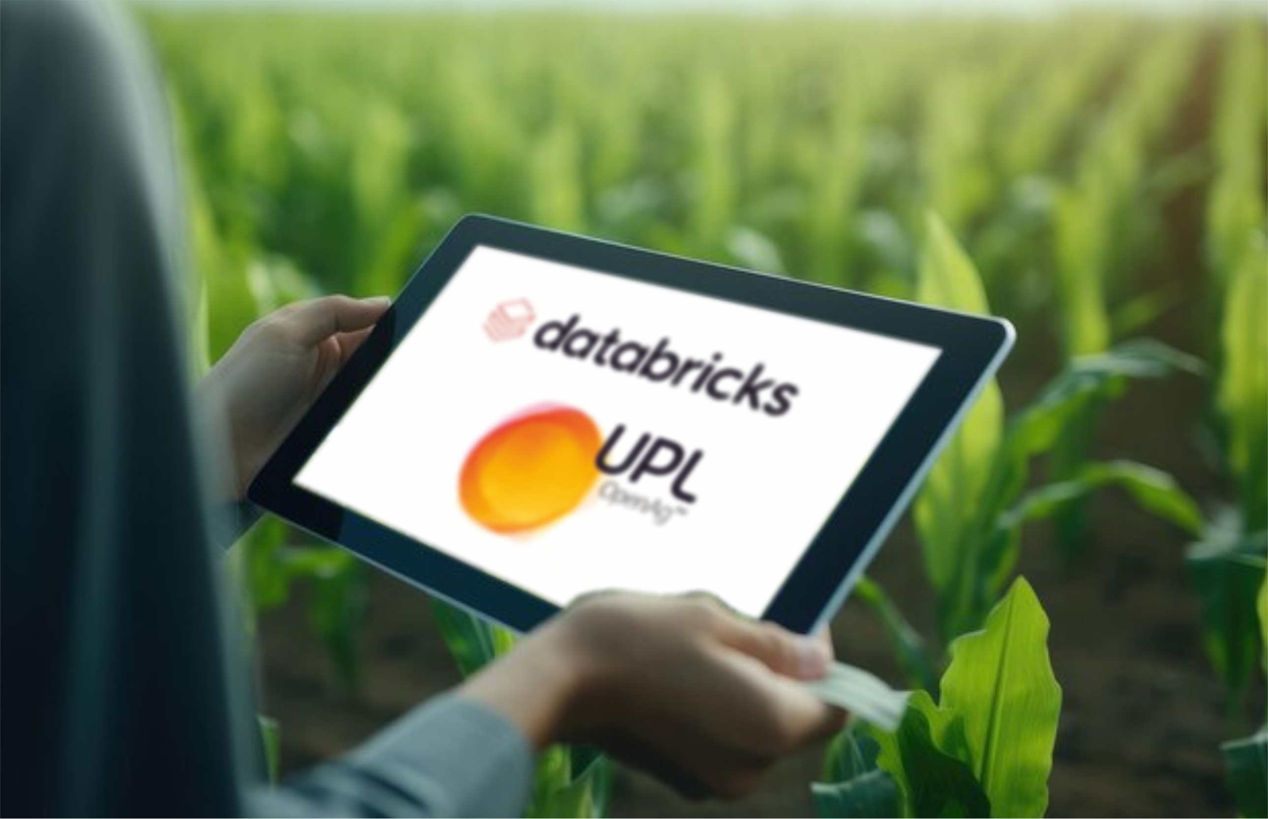Databricks with UPL